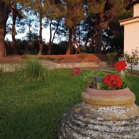 Ancient Olympia, Mangata-home Apartment *